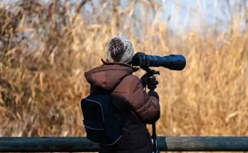 Hol és mikor figyeld meg a madarakat?