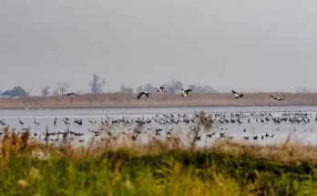 A világ legjobb madárparkjai és rezervátumai