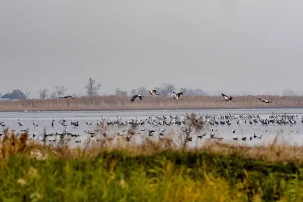 A világ legjobb madárparkjai és rezervátumai