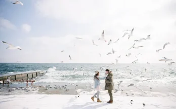 Hogyan tájékozódnak a vándormadarak a hosszú utak során?